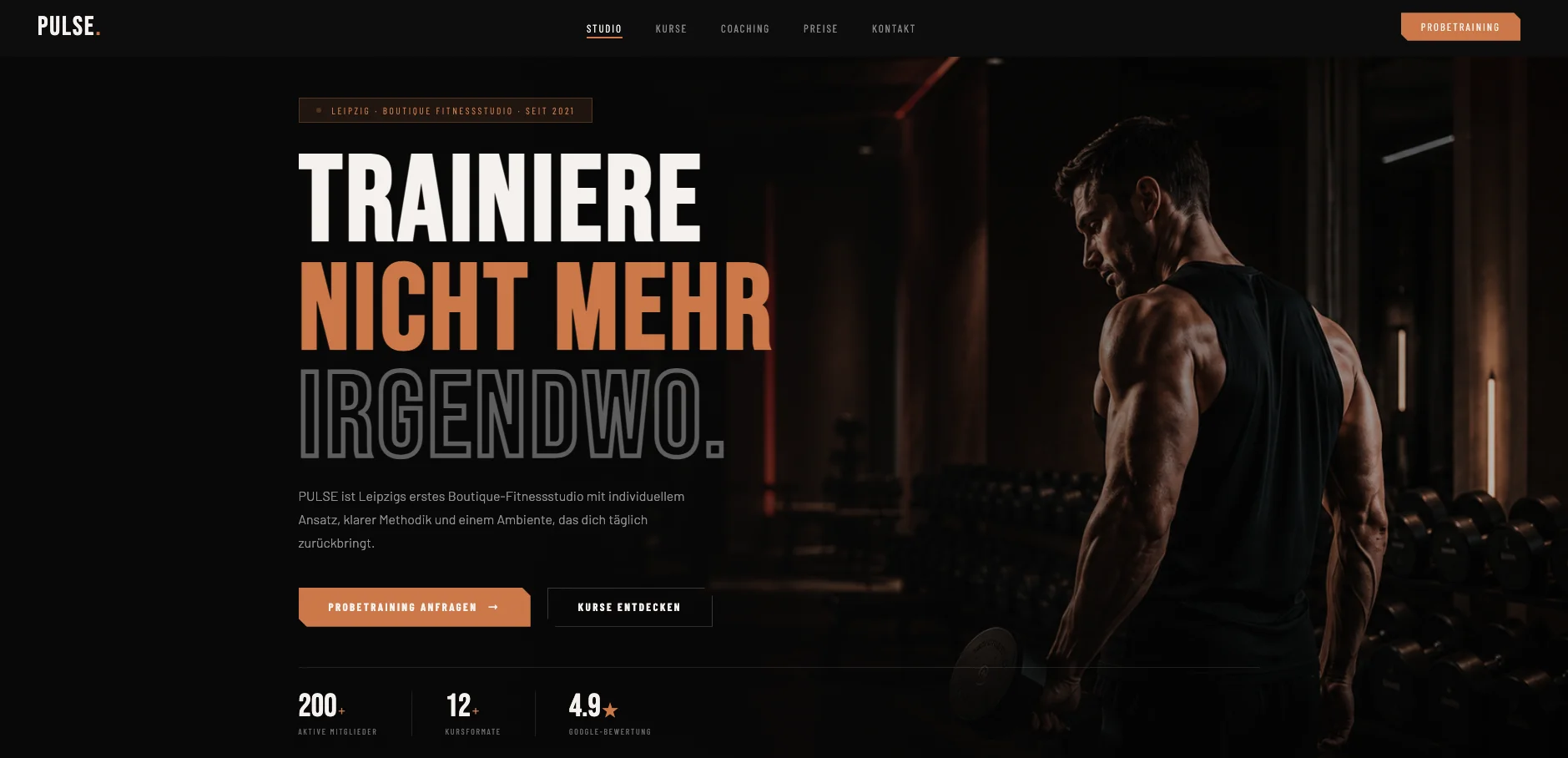 Vorschau der Pulse Studio Demo-Website